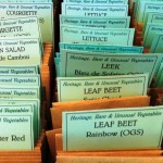 Heritage seeds, thomas Etty, gardeners in Lewes, seedy saturday