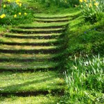 Turfed stairs, Firle place, Gardens in East Sussex