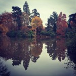 sheffield-park-tree-reflections