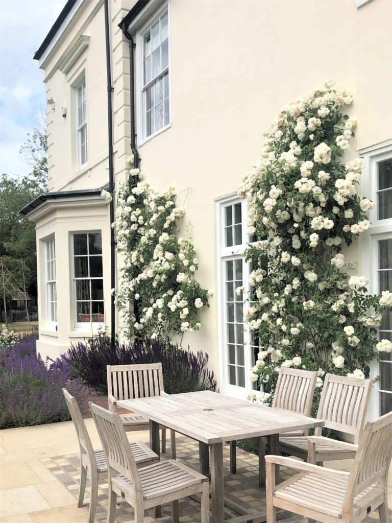 Picture of a side terrace with salvia and rose p[lanting and a dining table