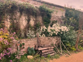Snapshots of the walled garden @kneppwilding breathtaking on all the levels. Thanks @bocookstudios a lovely inspiring morning organised by @societyofgardendesigners it was great to see you there @racheltherake @fern_and_pine @one_to_one_gardendesign @nigelphilips 💚🌿💚